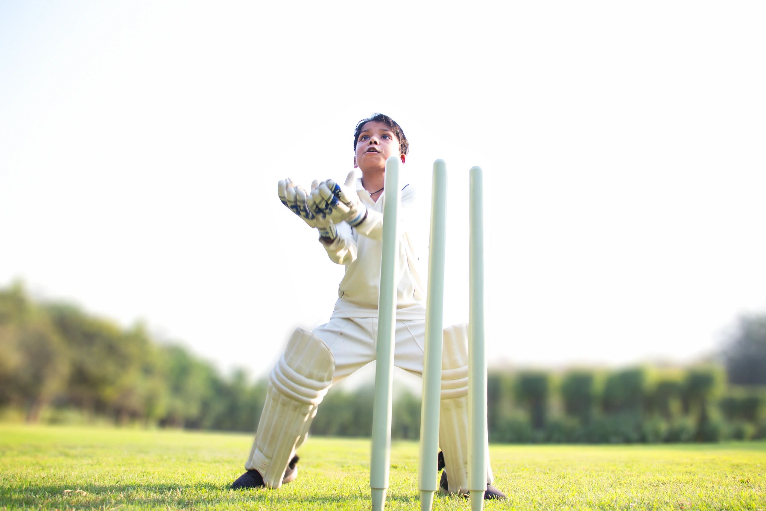 Cricket wicketkeeper catching a ball