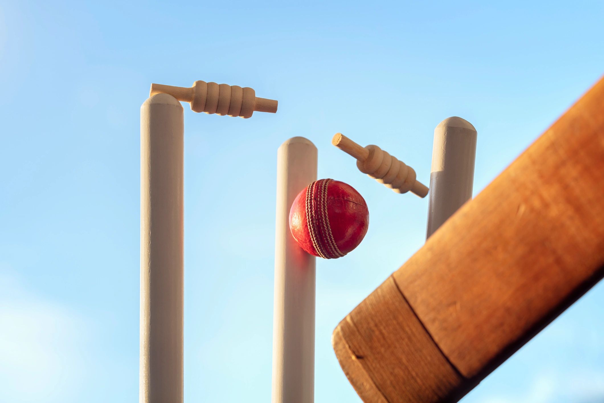 Cricket bat and ball on the grass